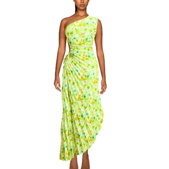 COMMENSE Greeness Floral Zippered Pleat Midi Dress NWT Size XS - Picture 1 of 4